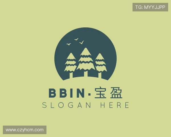 介绍BBin宝盈登录注册